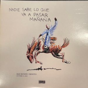 Nadie Sabe Lo Que (LP)