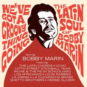 We`ve Got A Groovy Thing (LP)