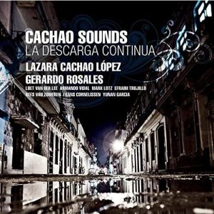 Descarga Continua