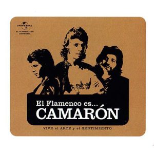El Flamenco Es