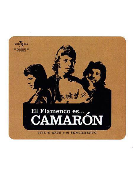 El Flamenco Es