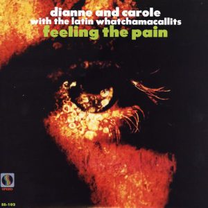 Feeling The Pain (LP)