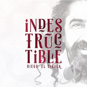Indestructible